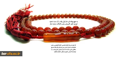 به هیچ بهانه ای نماز اول وقت را از دست ندهید (توصیه  های کاربردی رهبر انقلاب درباره نماز)