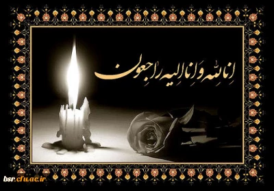 عرض تسلیت خدمت جناب آقای دکتر مصطفی اجتهادی