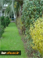 عکسهای منتخب پردیس