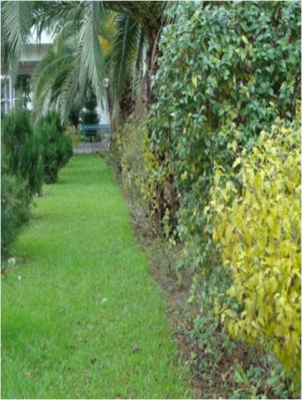 عکسهای منتخب پردیس