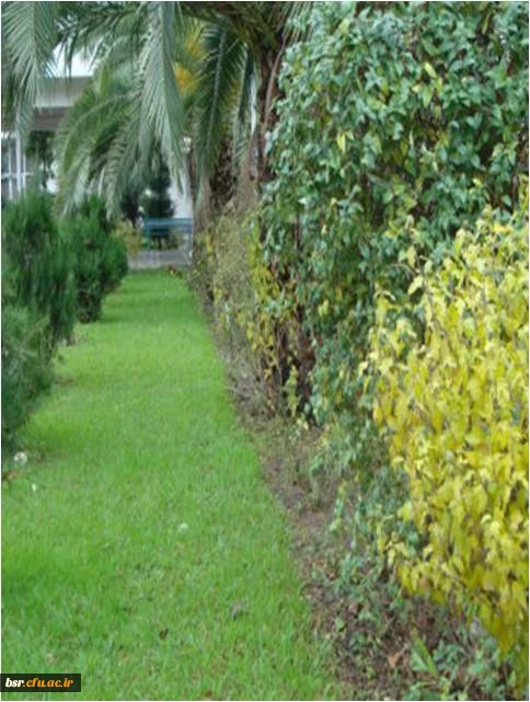 عکسهای منتخب پردیس