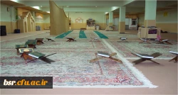 عکسهای منتخب پردیس