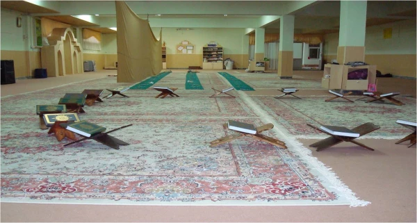 عکسهای منتخب پردیس