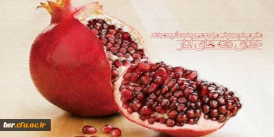 مگر می شود زندگی مرا به هم ریخته آفریده باشد؛ خدای دانه های انار