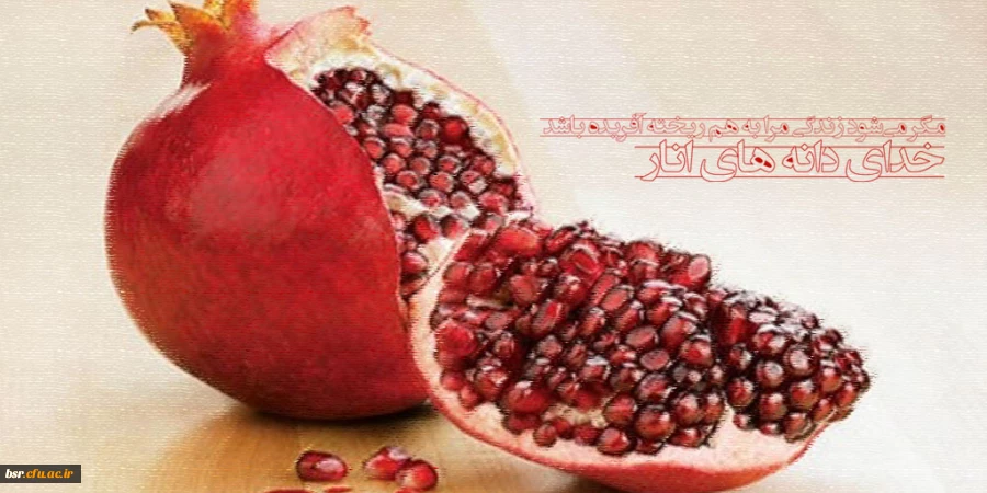 مگر می شود زندگی مرا به هم ریخته آفریده باشد؛ خدای دانه های انار