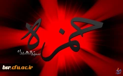 15 شوال سالروز شهادت حضرت حمزه سید الشهدا(ع)