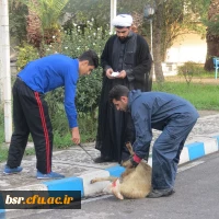 برگزاری دعای عرفه  در پردیس شهید بنت الهدی صدر گیلان