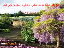 پیام هایی به مناسبت هفته بهداشت روانی 2