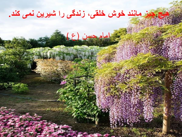پیام هایی به مناسبت هفته بهداشت روانی 2