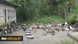 بازدید دانشجویان کارشناسی ناپیوسته رشته حرفه وفن  پردیس شهید بنت الهدی صدر گیلان از هنرستان جنت لاکان رشت 4