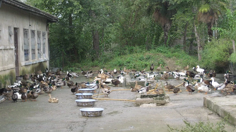 بازدید دانشجویان کارشناسی ناپیوسته رشته حرفه وفن  پردیس شهید بنت الهدی صدر گیلان از هنرستان جنت لاکان رشت 4