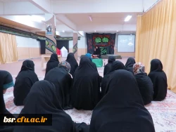 شهادت امام رضا (ع)