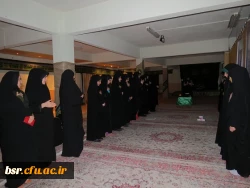 شهادت امام رضا (ع)