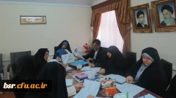 برگزاری جلسه ستادی فرهنگی دهه فجر 5