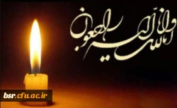 پیام تسلیت خدمت استاد محترم سرکار خانم کاردوست 2