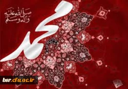دنیا فریاد می زند که من محمد (ص) را دوست دارم  2