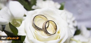 ثبت نام کاروان زیارتی اساتید مزدوج دانشگاه