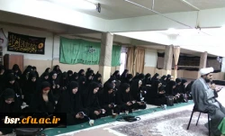 برگزاری مراسم هفتگی زیارت عاشورا