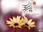 میلاد امیر المومنین حیدر کرار (ع) وروز پدر و12 اردیبهشت روز معلم گرامی باد  2