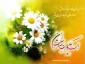 میلاد امام زمان (عج) بر همگان مبارک  2