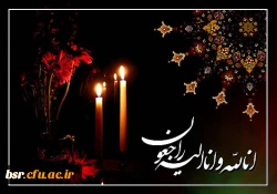 پیام تسلیت خدمت سرکار خانم دکتر گلین مقدم 2