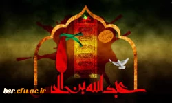 باز این چه شورش است که در خلق عالم است  4