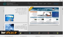 سایت Stnn  در ردیف برترین سایت ها