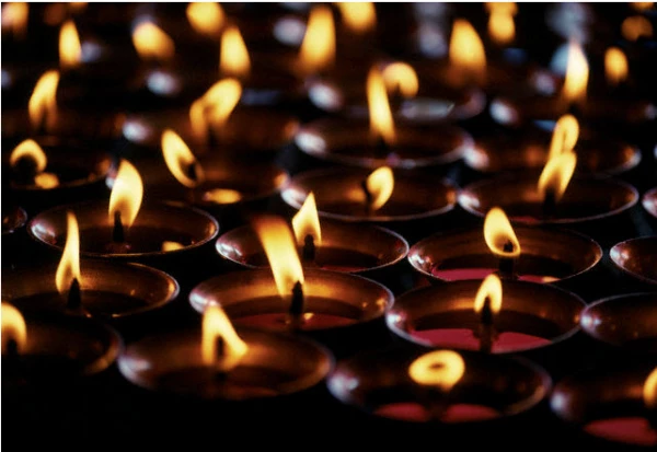 عرض تسلیت به  سرکار خانم  دکتر الهه کشاورز