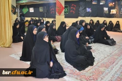 برگزاری نشست 