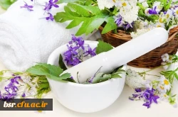 کارگاه هم اندیشی اساتید سبک زندگی اسلامی – ایرانی با موضوع طب سنتی