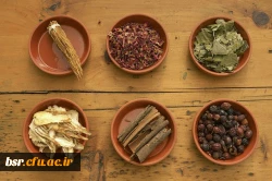 کارگاه هم اندیشی اساتید سبک زندگی اسلامی – ایرانی با موضوع طب سنتی