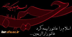 ویژه نامه اربعین حسینی