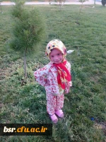 بیماری نرگس رسولی رو به بهبودی است