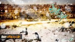 ولادت پیامبر اکرم (ص) و امام جعفر صادق (ع) مبارک باد