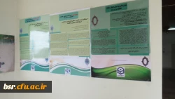 همایش استانی تربیت سیاسی اجتماعی در گردیس بنت االهدی صدر برگزار شد .