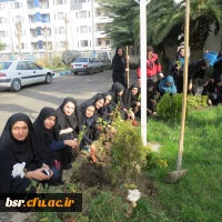 دانشگاه بنت الهدی صدر در روز درختکاری