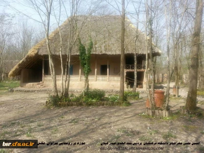 انجمن جغرافیا دانشگاه بنت الهدی صدر گیلان  در روز درختکاری