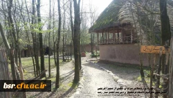 موزه روستایی