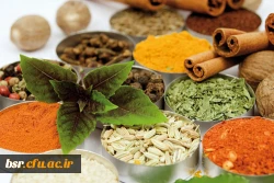 کارگاه آموزشی 