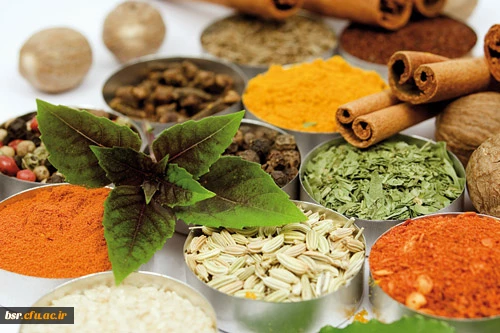 کارگاه آموزشی "طب سنتی- اسلامی"