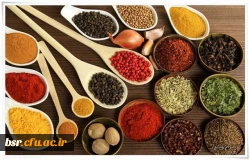 کارگاه آموزشی 