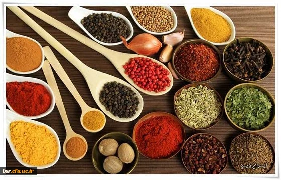 کارگاه آموزشی "طب سنتی- اسلامی"