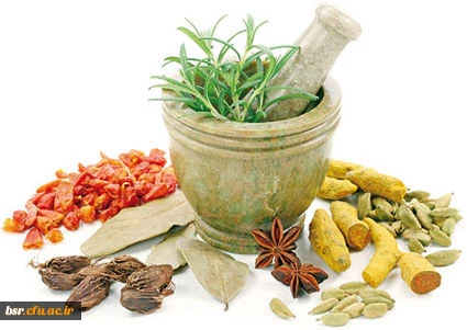 کارگاه آموزشی "طب سنتی- اسلامی"