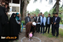 ساخت یامان شهدا