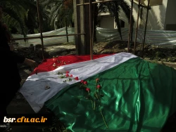 گلباران مزار شهدای گمنام