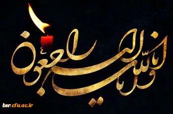 تسلیت به همکار 2