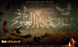 شهادت آخرین یادگار کربلا تسلیت 5