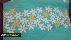 مدارک پذیرش اسکان در سرای دانشجویی بنت الهدی صدر 3