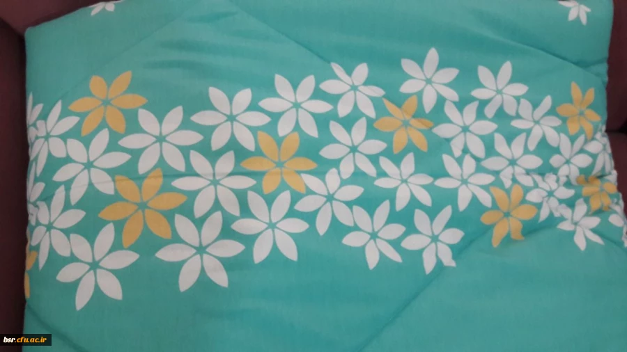 مدارک پذیرش اسکان در سرای دانشجویی بنت الهدی صدر 3