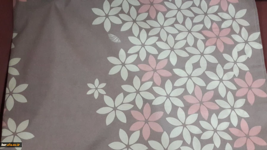 مدارک پذیرش اسکان در سرای دانشجویی بنت الهدی صدر 4